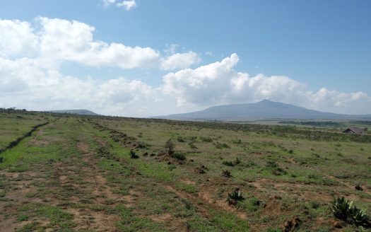 Naivasha