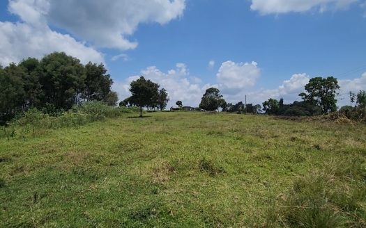 Limuru Girls School Tigoni Land