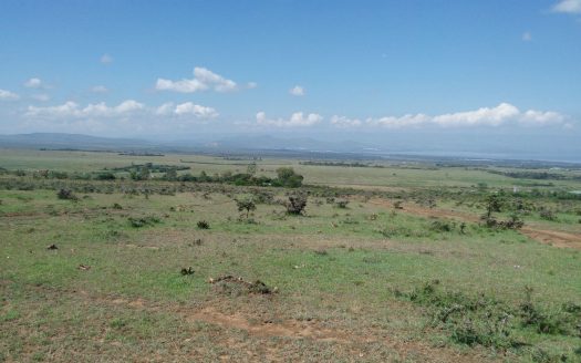 Naivasha