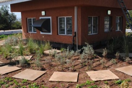 Green-Roof3-Mbirikani-686x1024